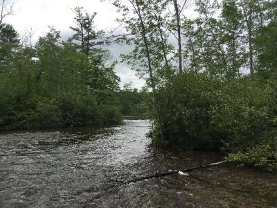 BIOMONITORING UPSTREAM WEB PHOTO
