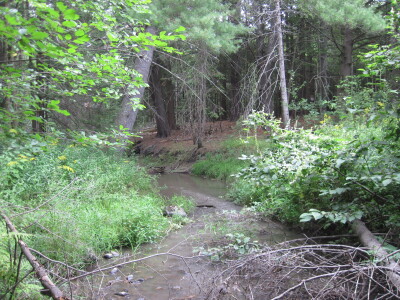 BIOMONITORING DOWNSTREAM WEB PHOTO