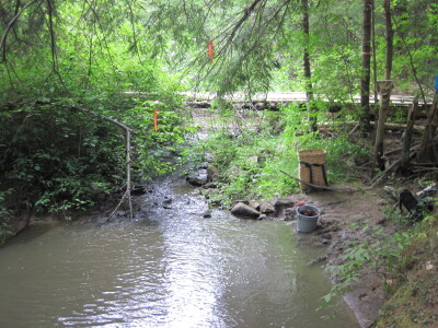 BIOMONITORING UPSTREAM WEB PHOTO