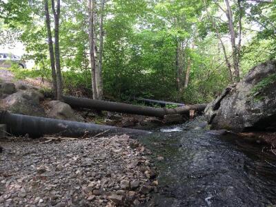 BIOMONITORING DOWNSTREAM WEB PHOTO