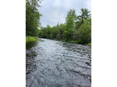 BIOMONITORING UPSTREAM WEB PHOTO