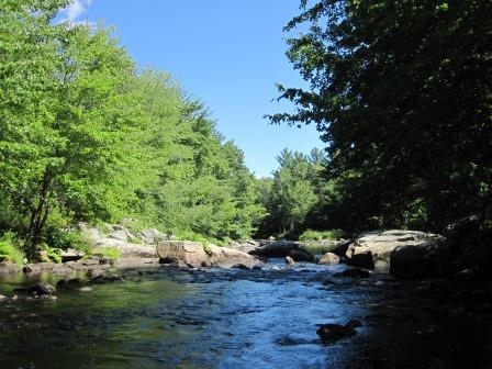BIOMONITORING DOWNSTREAM WEB PHOTO