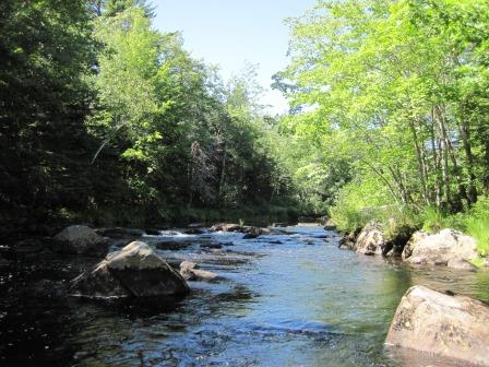 BIOMONITORING UPSTREAM WEB PHOTO