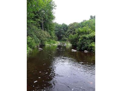BIOMONITORING DOWNSTREAM WEB PHOTO