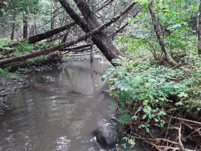 BIOMONITORING DOWNSTREAM WEB PHOTO
