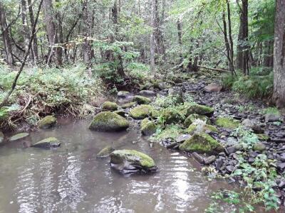 BIOMONITORING UPSTREAM WEB PHOTO
