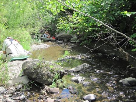 BIOMONITORING DOWNSTREAM WEB PHOTO