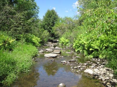 BIOMONITORING UPSTREAM WEB PHOTO