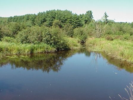 BIOMONITORING UPSTREAM WEB PHOTO