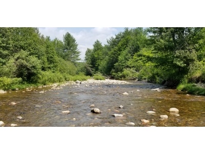 BIOMONITORING DOWNSTREAM WEB PHOTO