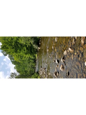 BIOMONITORING UPSTREAM WEB PHOTO