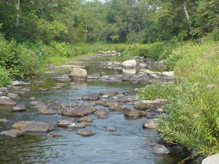 BIOMONITORING DOWNSTREAM WEB PHOTO