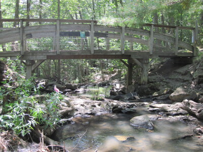 BIOMONITORING DOWNSTREAM WEB PHOTO