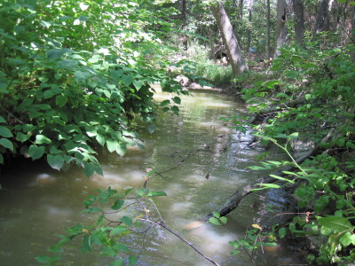 BIOMONITORING UPSTREAM WEB PHOTO