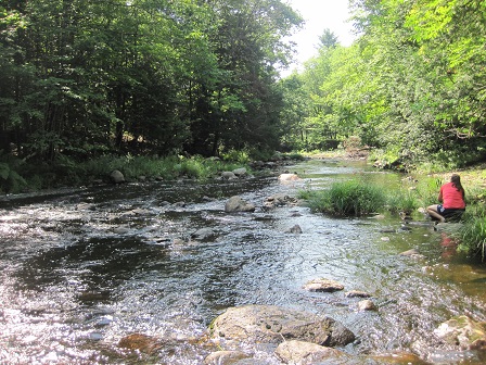 BIOMONITORING DOWNSTREAM WEB PHOTO
