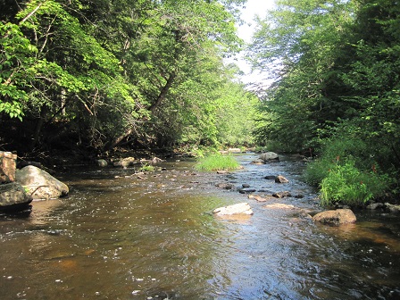 BIOMONITORING UPSTREAM WEB PHOTO