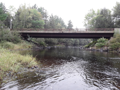 BIOMONITORING DOWNSTREAM WEB PHOTO