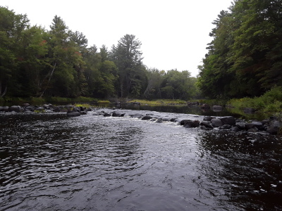 BIOMONITORING UPSTREAM WEB PHOTO