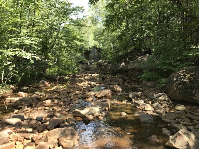 BIOMONITORING DOWNSTREAM WEB PHOTO