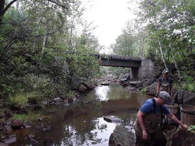 BIOMONITORING DOWNSTREAM WEB PHOTO