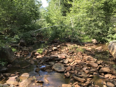 BIOMONITORING UPSTREAM WEB PHOTO