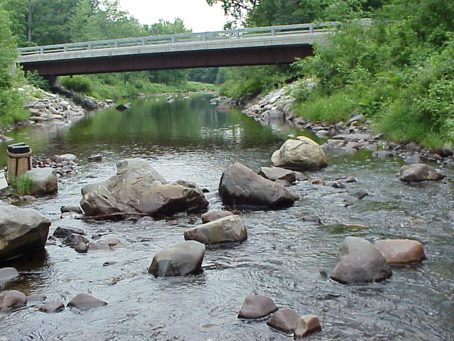 BIOMONITORING DOWNSTREAM WEB PHOTO