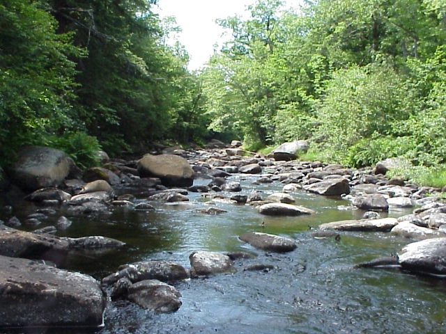 BIOMONITORING DOWNSTREAM WEB PHOTO