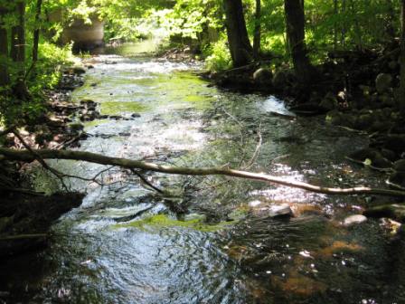 BIOMONITORING DOWNSTREAM WEB PHOTO