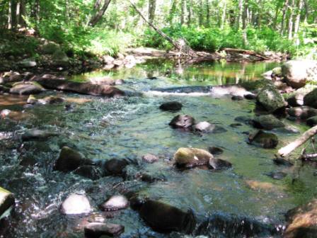 BIOMONITORING UPSTREAM WEB PHOTO