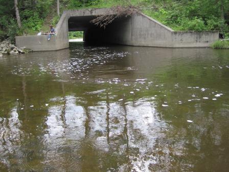 BIOMONITORING UPSTREAM WEB PHOTO