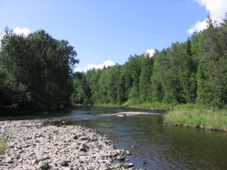 BIOMONITORING DOWNSTREAM WEB PHOTO
