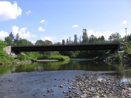 BIOMONITORING UPSTREAM WEB PHOTO
