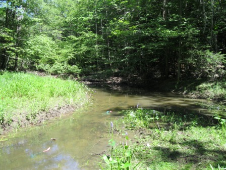 BIOMONITORING DOWNSTREAM WEB PHOTO
