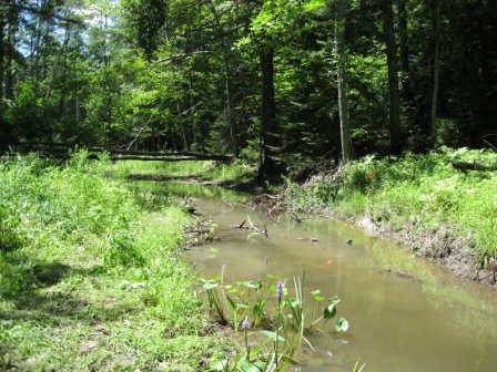 BIOMONITORING UPSTREAM WEB PHOTO