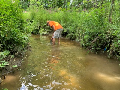 BIOMONITORING DOWNSTREAM WEB PHOTO