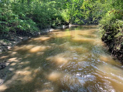 BIOMONITORING UPSTREAM WEB PHOTO