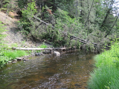 BIOMONITORING DOWNSTREAM WEB PHOTO