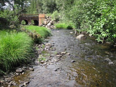 BIOMONITORING UPSTREAM WEB PHOTO