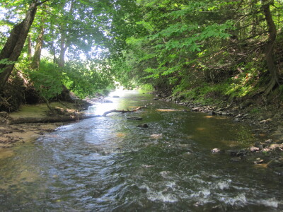 BIOMONITORING DOWNSTREAM WEB PHOTO