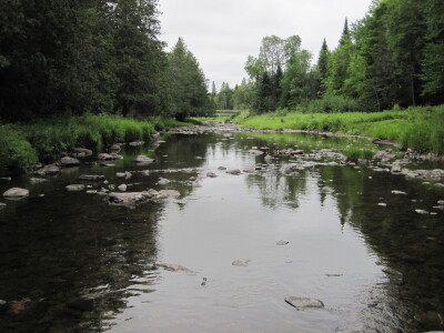 BIOMONITORING DOWNSTREAM WEB PHOTO