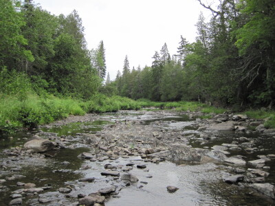 BIOMONITORING UPSTREAM WEB PHOTO