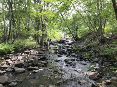 BIOMONITORING UPSTREAM WEB PHOTO