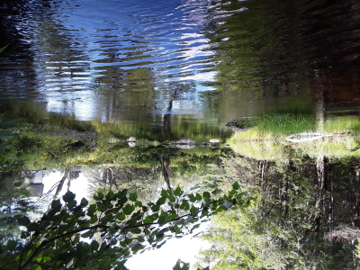 BIOMONITORING DOWNSTREAM WEB PHOTO