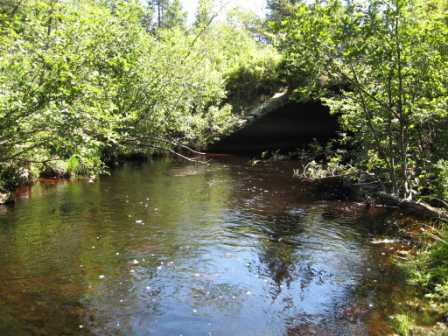 BIOMONITORING DOWNSTREAM WEB PHOTO