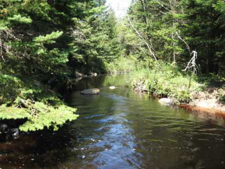 BIOMONITORING UPSTREAM WEB PHOTO