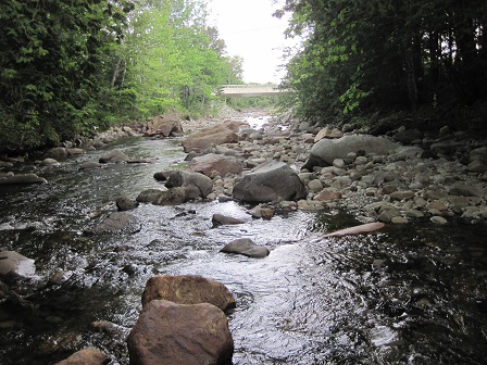 BIOMONITORING DOWNSTREAM WEB PHOTO