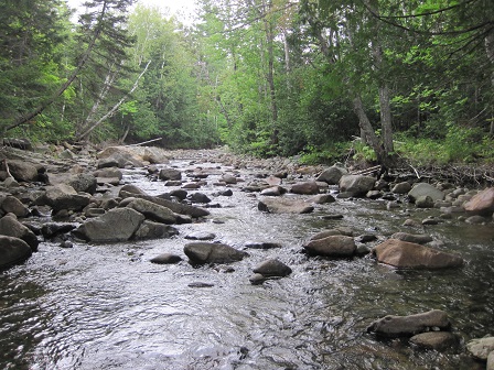 BIOMONITORING UPSTREAM WEB PHOTO