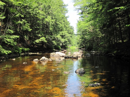 BIOMONITORING UPSTREAM WEB PHOTO
