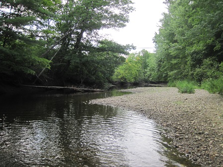 BIOMONITORING DOWNSTREAM WEB PHOTO