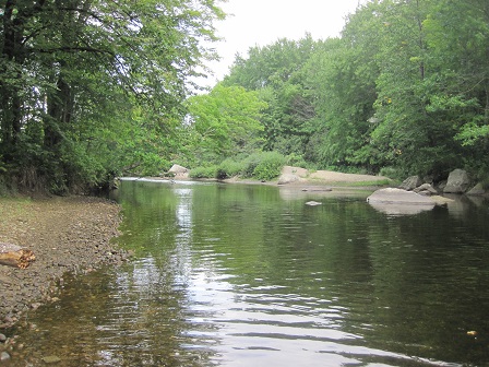 BIOMONITORING UPSTREAM WEB PHOTO